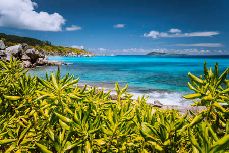 Tropical coast at La Digue island, Seychelles. Lush green vegetation, turquoise blue ocean and...
