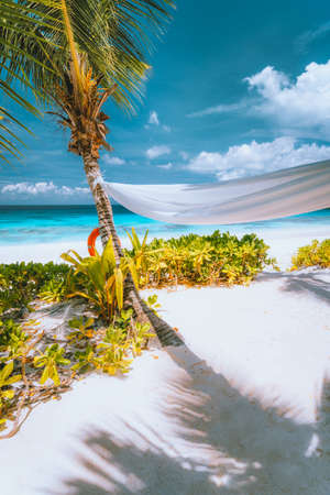 Holiday vacation tropical scene of beautiful white sand beach, turquoise ocean lagoon and foliage. Vacation in paradise. Mahe Island, Seychellesの写真素材