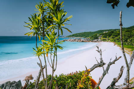 Vacation holiday at Petite Anse paradise beach in summer season . La Digue island, Seychellesの写真素材