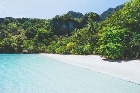 A beautiful empty tropical sandy beach with palm trees