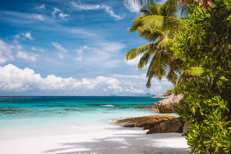 An empty exotic tropical sandy beach on Mahe Island,Seychelles islands. Famous vacation destination...