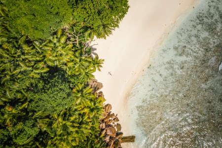 Female sunbathing on tropical sandy beach surrounded by palm trees and turquoise blue ocean lagoon. Aerial drone shot. Seychellesの写真素材