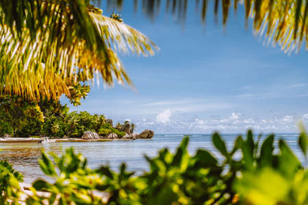 Seychelles famous Anse Source d'Argent beach with well-known granite boulder rocks at La Digue island. Leaves framed photo.の写真素材