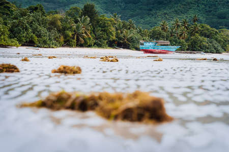 Ship on tropical beach during low tide. Mahe, Seychelles sand lagoon coastline view with palm trees...