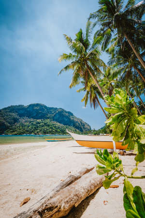 Philippines beach landscape - Local banca boat under palm trees at Corong Corong beach in El Nido, Palawan islandの写真素材
