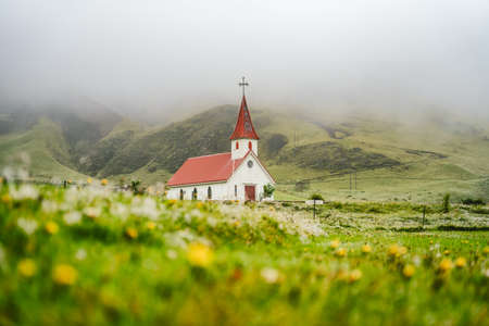 Typical Rural Icelandic Church with red roof in Vik region. Iceland. Blossom flower and foliage in foregroundの写真素材