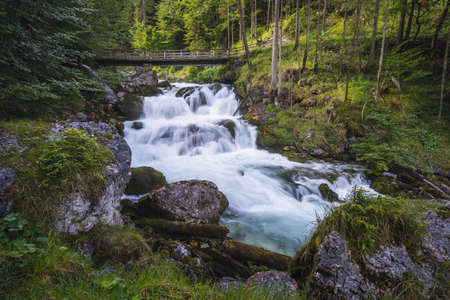 Forest river in Waldbachstrub near Hallstatt, Escherntal Austria