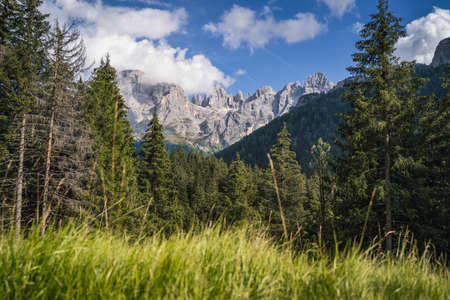 Val Venegia with view of Pale di San Martino mountains group, Italian Dolomitesの写真素材