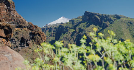 Volcano Teide, Tenerife, Canary Islands, Spain. View of the peak of the snowy Mount Teide. Pico del Teide, Tenerife, Canary Islands, Spain. From Masca Gorge.の写真素材