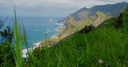 Anaga rural park. Mountain range, north of Tenerife, ocean. Canary Islands, Spain. Nobody. Roque de las Amimas. Green grass and local spring flowers.の写真素材