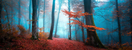 A misty forest scene with vibrant orange and red leaves, creating a dreamy and mystical autumn atmosphereの素材