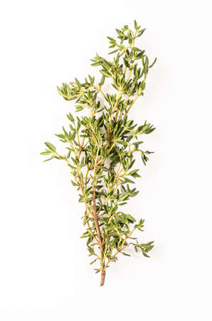 thyme