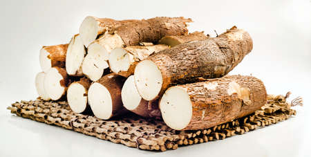 Yuccas