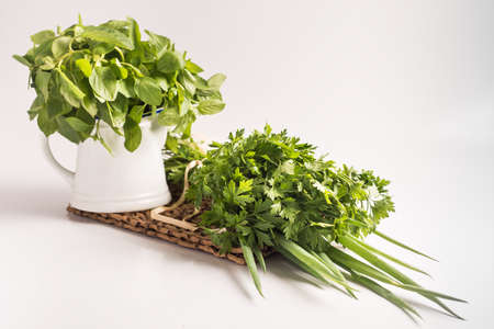 chives, parsley and basilの写真素材