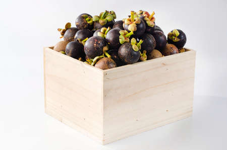 Mangostin boxの写真素材