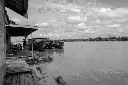 boats in the harbor in black and white photoの写真素材