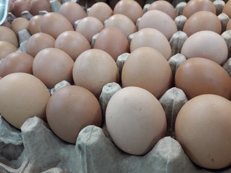 chicken eggs arranged in egg tray