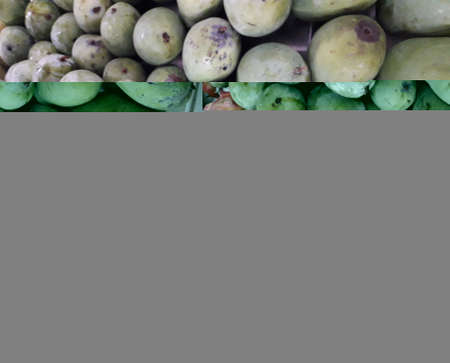 large group of mango fruit closeup