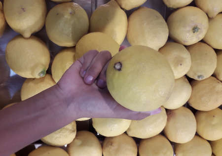 large group of lemon fruit closeupの写真素材