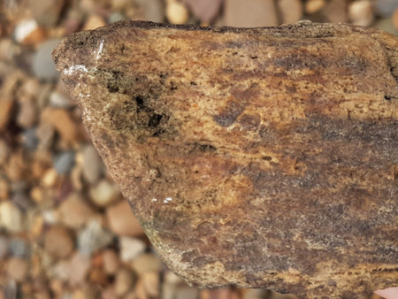 Close up of a stone on the beach. Selective focus.