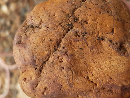 Close up of a freshly baked loaf of bread on a table.