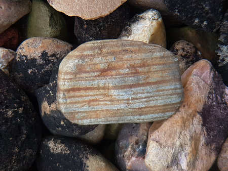 close up of a stone on the beach, as a background.の写真素材