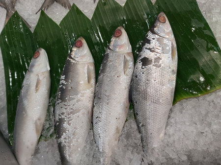 Fresh fish on ice for sale at the fish market in Thailand.