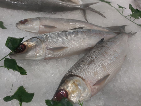 fresh fish on ice in the market, closeup of a photo