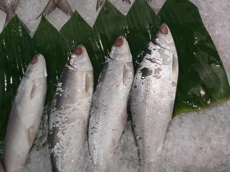 Fresh fish on ice at the market,Thailand,Asia.