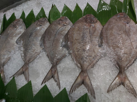 Fresh fish on ice for sale at a market in Bangkok, Thailand