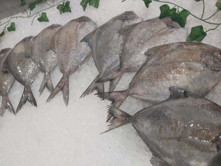 Fresh fish on ice for sale at a seafood market in Istanbul, Turkey