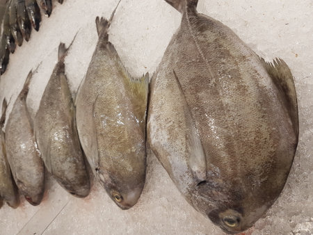 Fresh fish on ice at the market in Barcelona, Catalonia, Spain