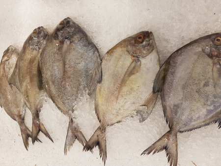 Fresh fish on ice in a fish market in Venice, Italy.