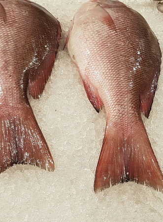 Fresh fish on the ice at the fish market. Toned.
