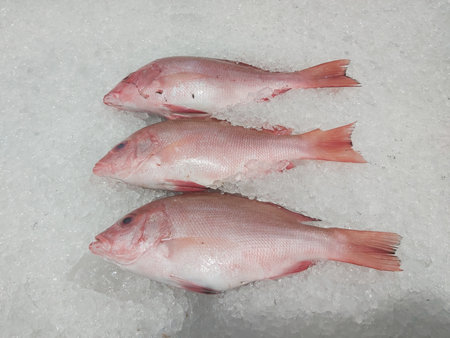 Fresh fish on ice in the market. Close-up image.