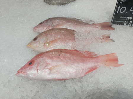Fresh fish on ice at a fish market in Istanbul, Turkey.