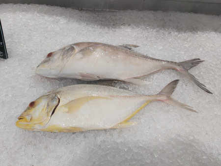 Fresh fish on ice in the market,Thailand,Asia.