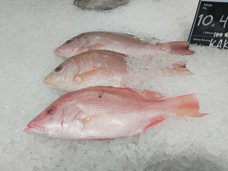 Fresh fish on ice for sale at a fish market in Istanbul, Turkey