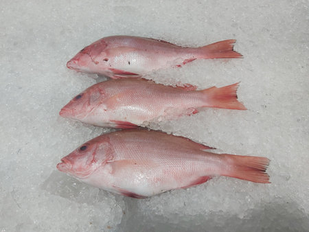 Fresh fish on ice in seafood market,Thailand,Asia.