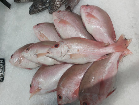 Fresh fish on ice at a market in Barcelona, Catalonia, Spain