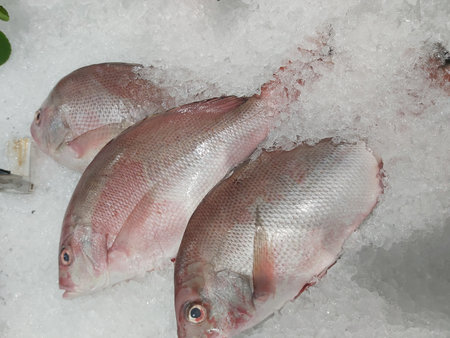Fresh fish on ice at the fish market in Istanbul, Turkey.
