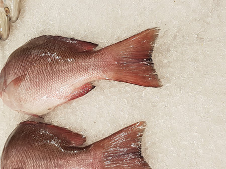 Fresh fish on ice at the fish market in Istanbul, Turkey.