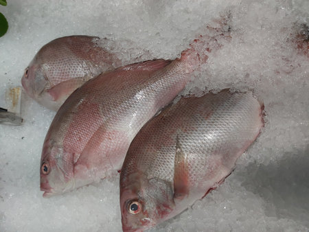 Fresh fish on ice at the market in Istanbul, Turkey. Close up.