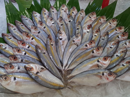 Fresh fish on ice for sale at the fish market in Thailand.