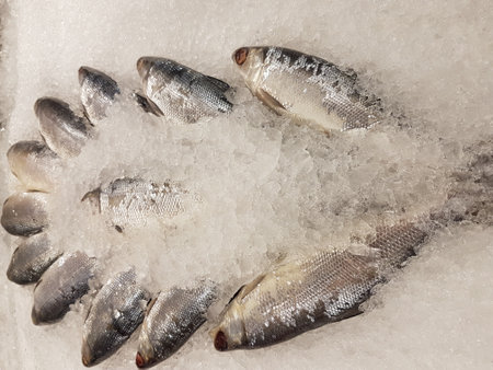 Fresh fish on ice in the supermarket. Shallow depth of field