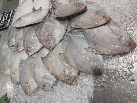 Fresh fish on ice for sale at a market in Istanbul, Turkey