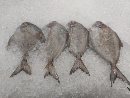 Fresh fish on ice for sale at the fish market in Istanbul, Turkey