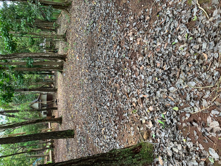 Abandoned old wooden fence in the forest, top view.の写真素材