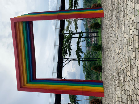 White daisies on a background of green grass in the gardenの写真素材