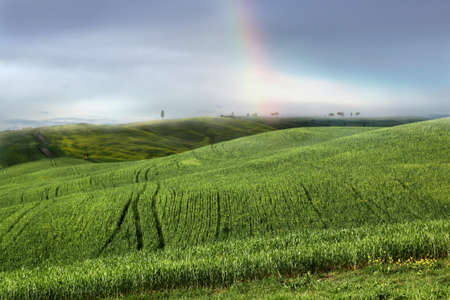 Green hillsの写真素材